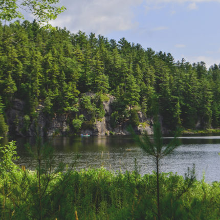 Algonquin Provincial Park Lake View - Photo By Ariana Kaminski