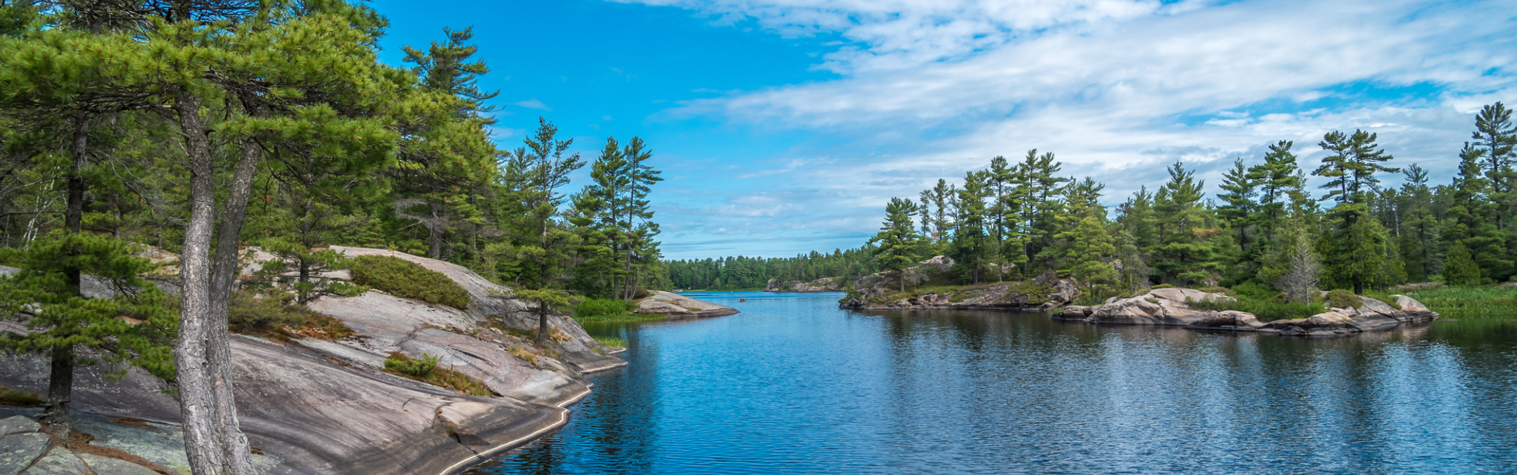 A lake surrounded by trees during summer time.
