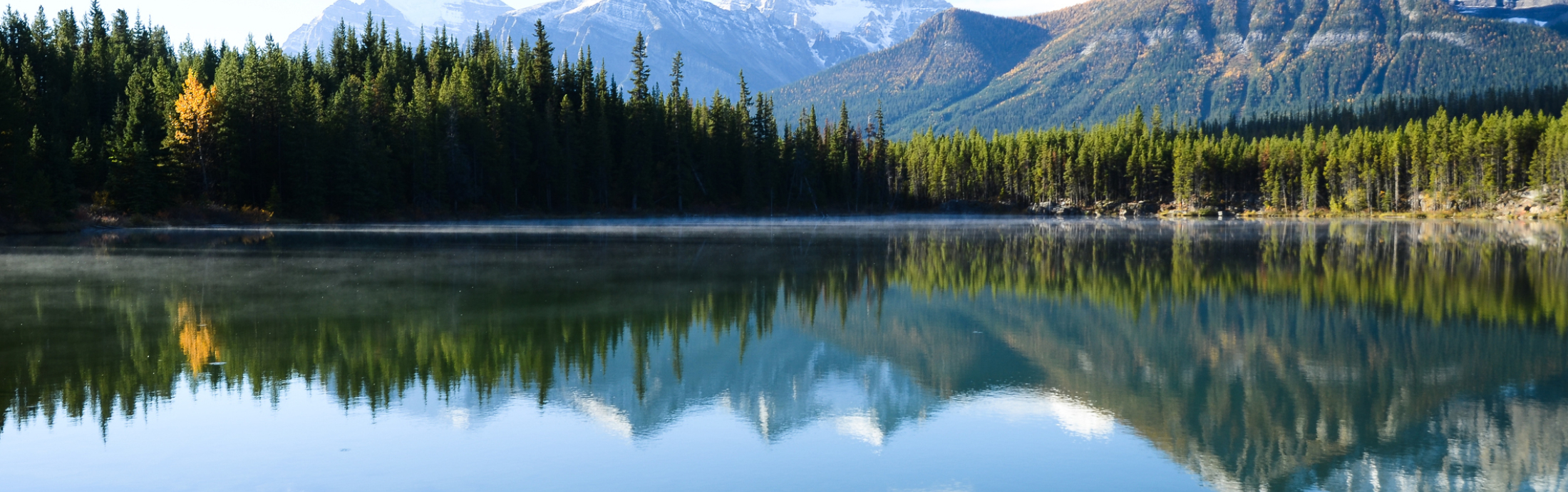 Herbert Lake in Banff National Park, in front of the Canadian Rockies, Alberta.