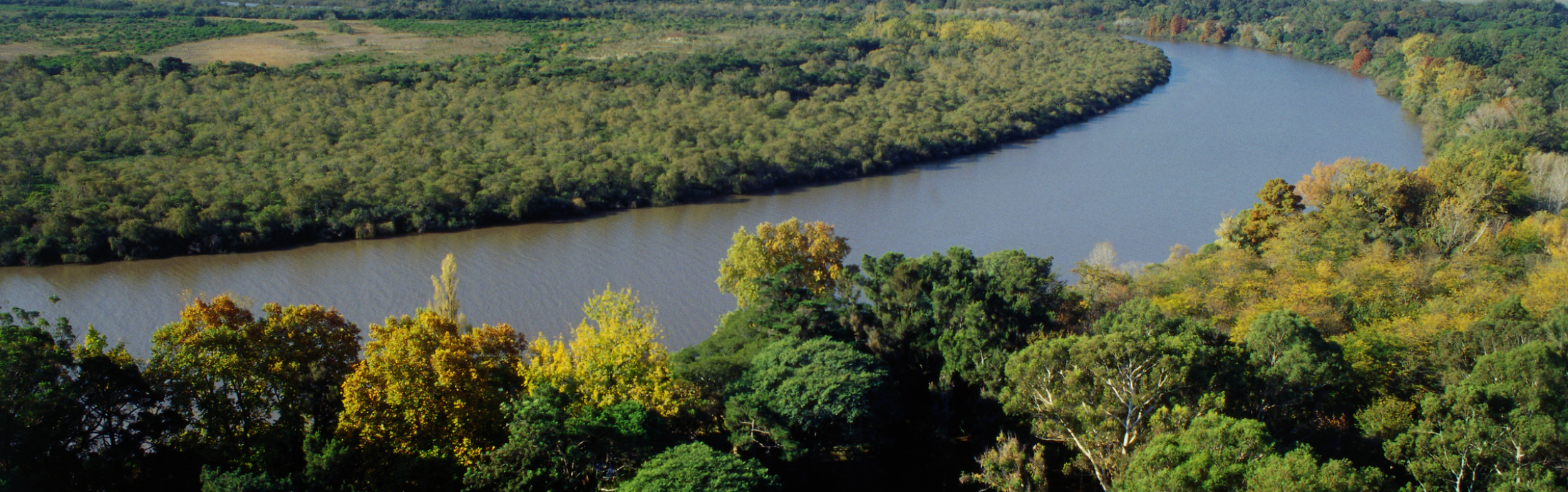 Aerial view of a river curving through forest in Uruguay.