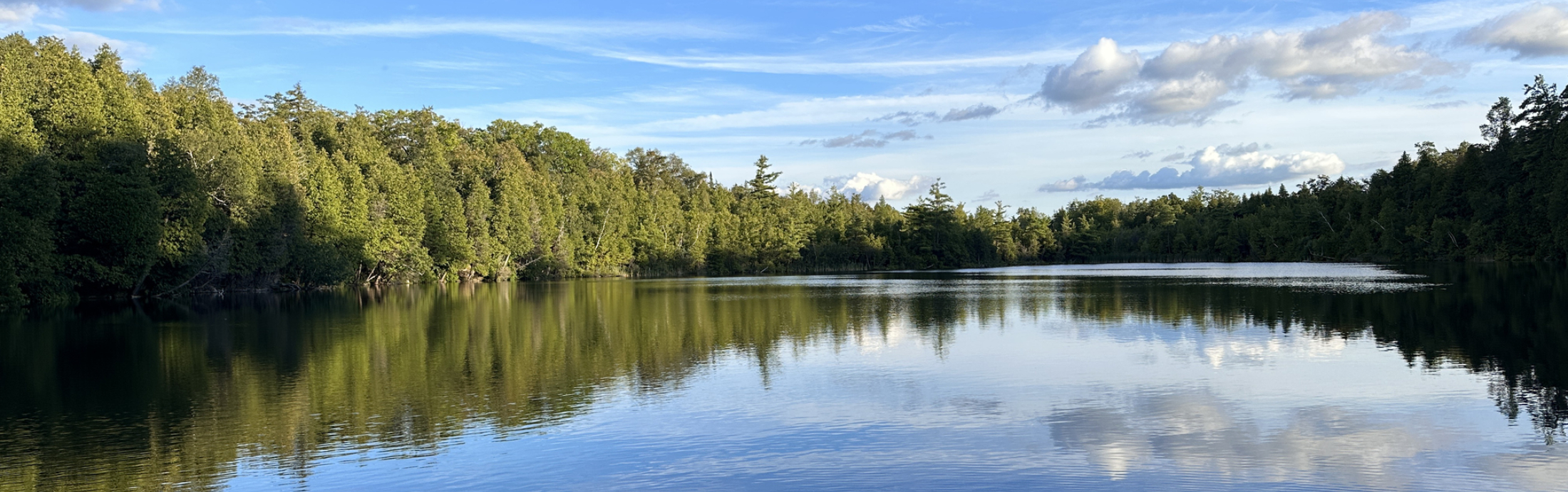 A lake surrounded by trees.
