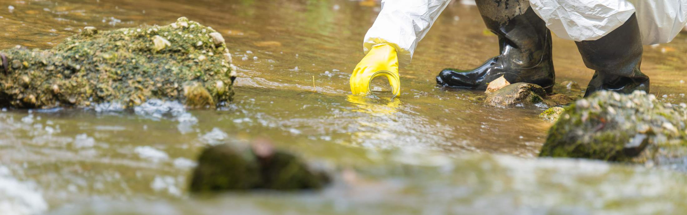 Scientist filling a test tube with river water.