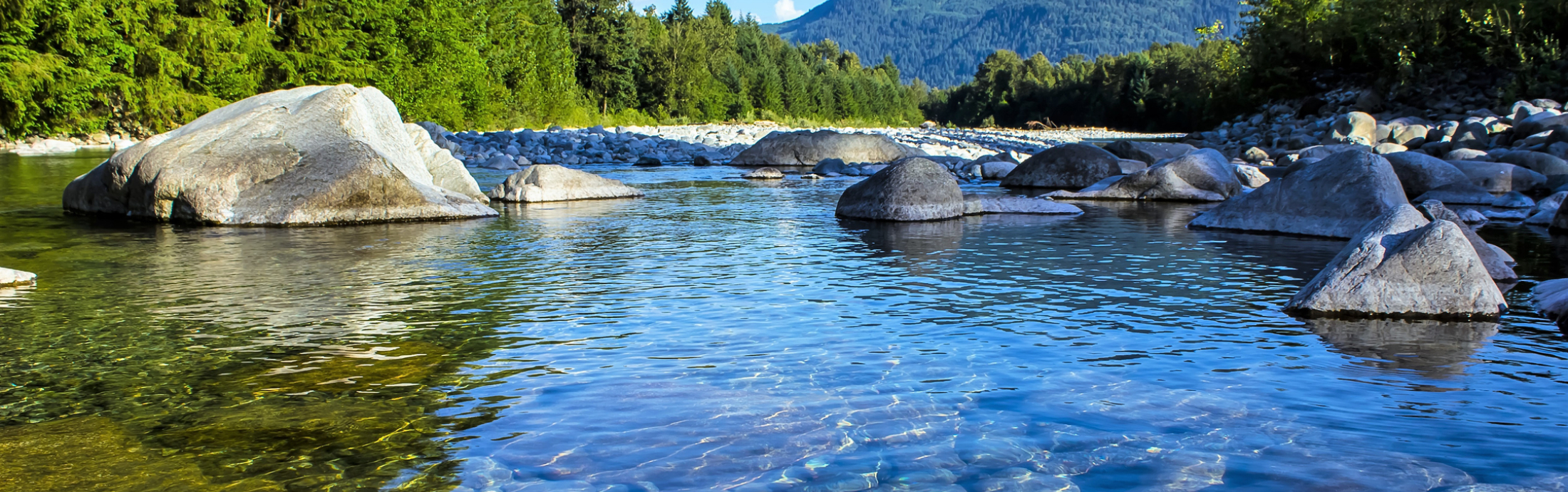 A lake with rocks in the water, surrounded by trees.