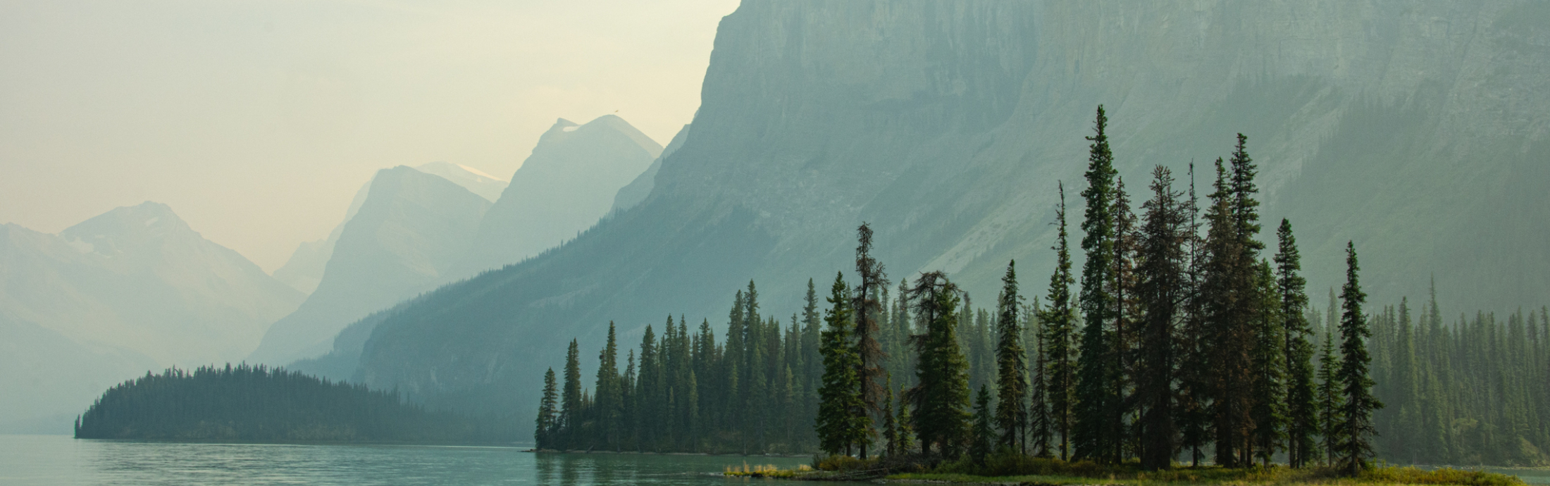 Pine trees reflecting in the water with mountains in the background.