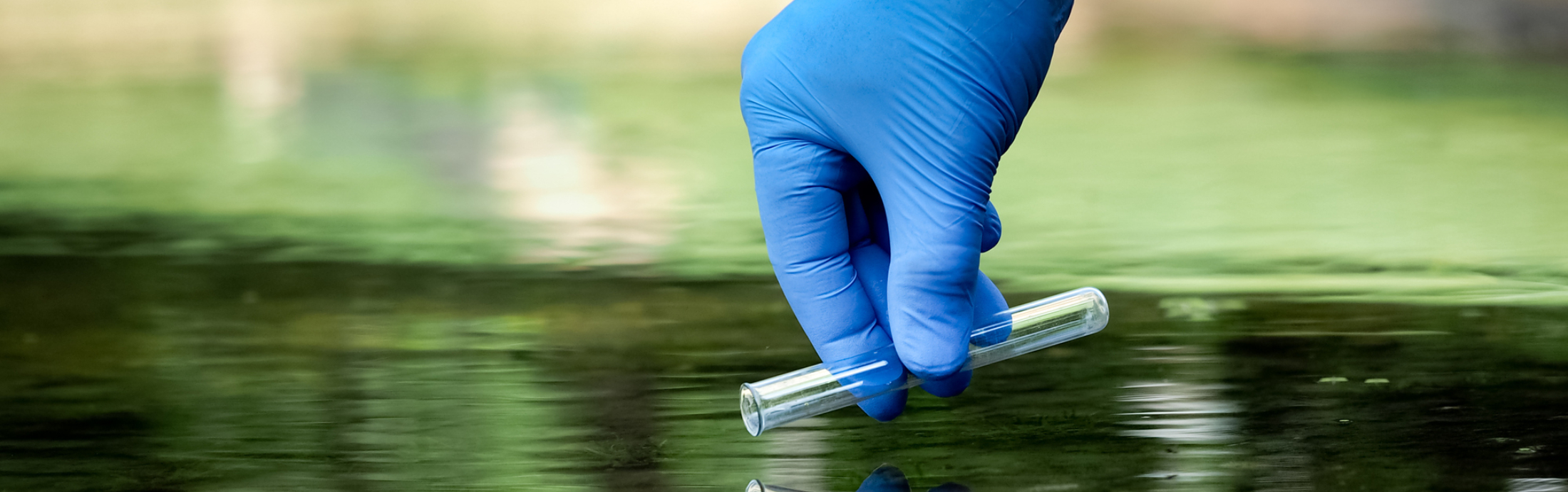 A gloved hand lowers a test tube into lake water.