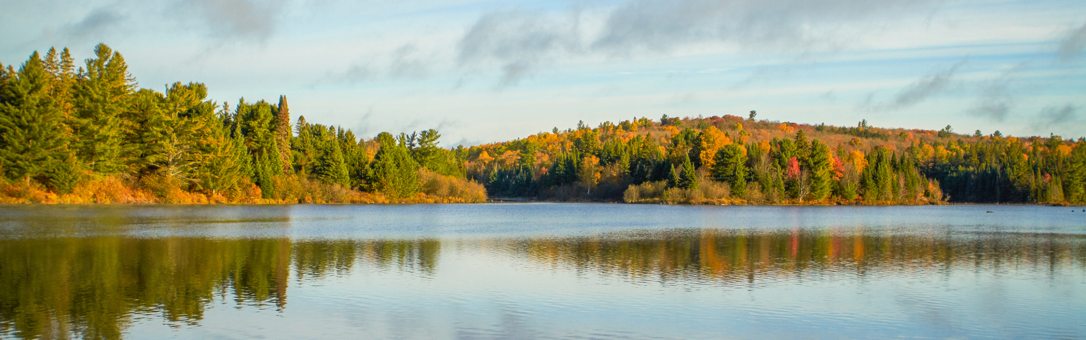 A lake surrounded by trees reflected in its water.