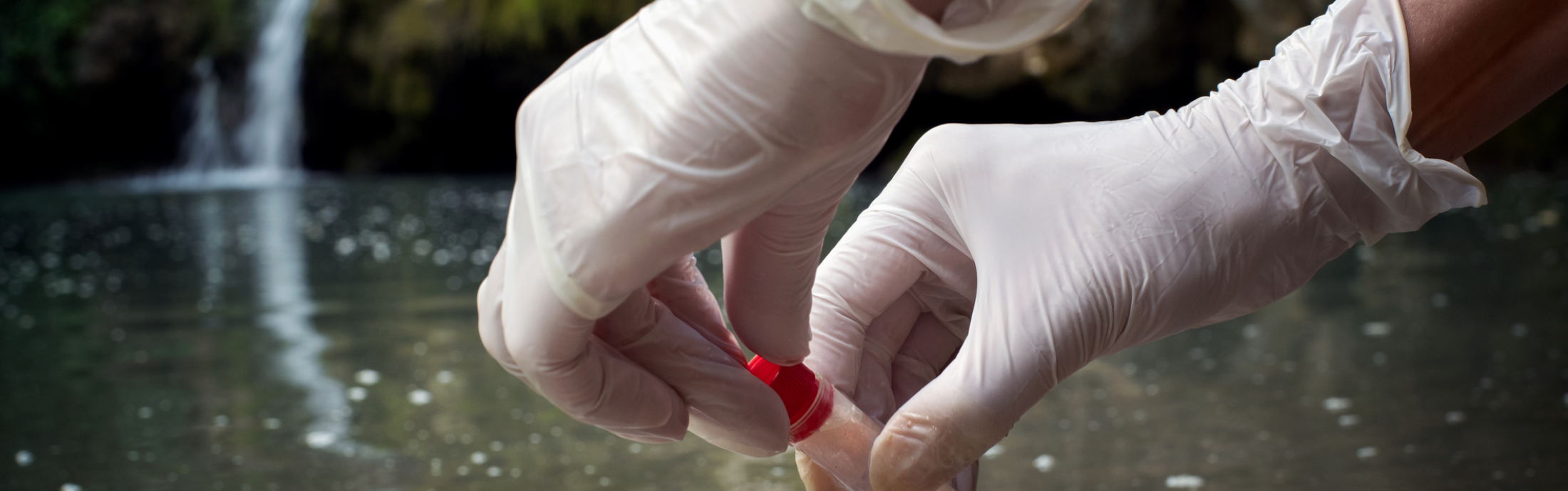 Two gloved hands holding a test tube above a body of water. 