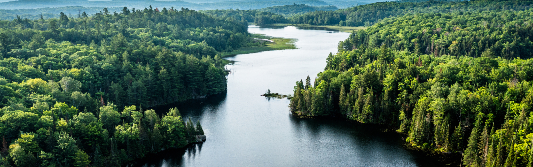 An elevated view of a river running through a forest.