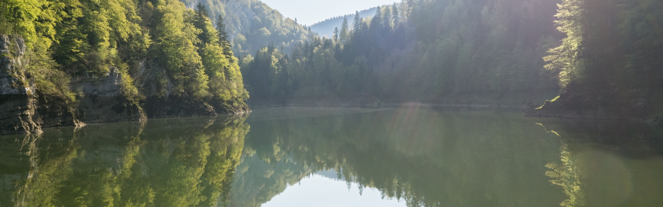 Picture of a river with forest on both sides and sun shining in from the top right