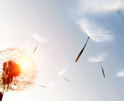Environmental consultancy