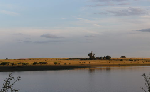 Rio Negro, Uruguay Pulp Mill