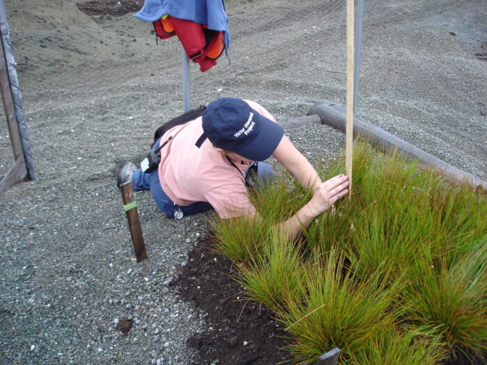 Carman working on test plots during her Masters project.