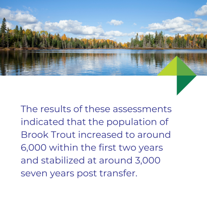 Quote for Freshwater Fish Experience: The results of these assessments indicated that the population of Brook Trout increased to around 6000 within the first two years and stabilized at around 3000 seven years post transfer.