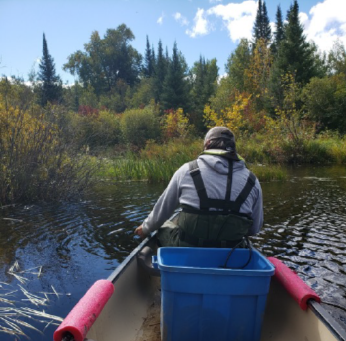 Downstream sampling