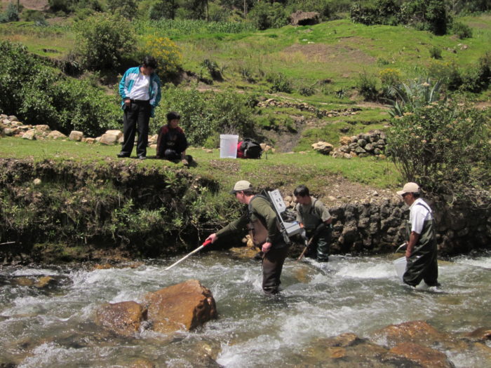 Joe working in a running stream with other environmental experts both in the stream and on the surrounding banks.