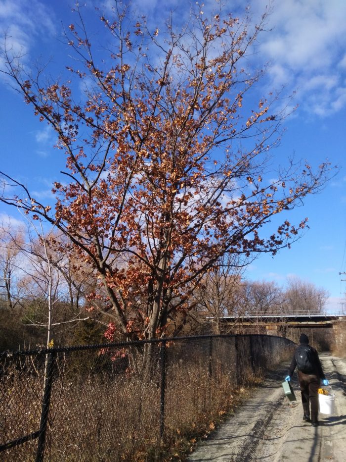 Brownfields redevelopment worker